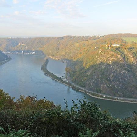 Roosartige Ferien - Ferienwohnung Am Weiherturm Bacharach Dış mekan fotoğraf