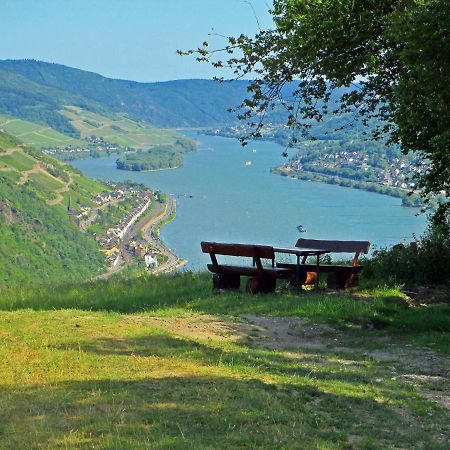 Roosartige Ferien - Ferienwohnung Am Weiherturm Bacharach Dış mekan fotoğraf