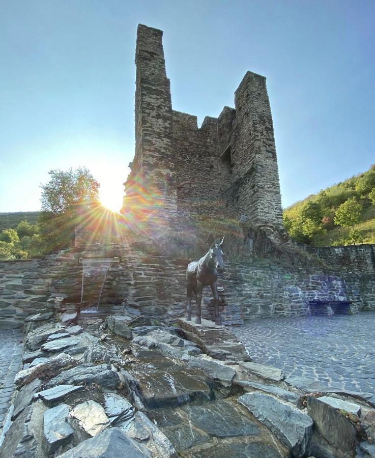 Roosartige Ferien - Ferienwohnung Am Weiherturm Bacharach Dış mekan fotoğraf