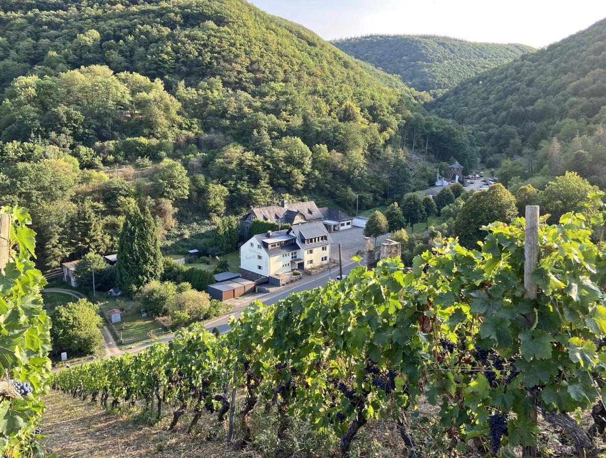 Roosartige Ferien - Ferienwohnung Am Weiherturm Bacharach Dış mekan fotoğraf