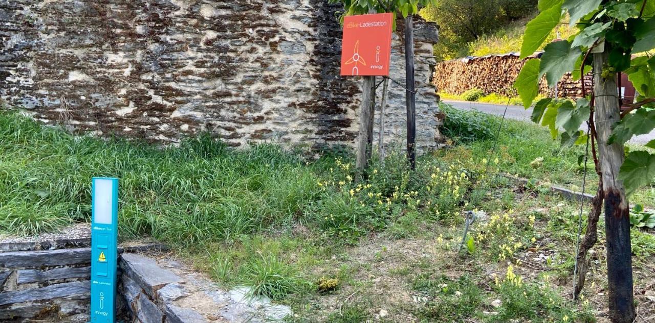 Roosartige Ferien - Ferienwohnung Am Weiherturm Bacharach Dış mekan fotoğraf