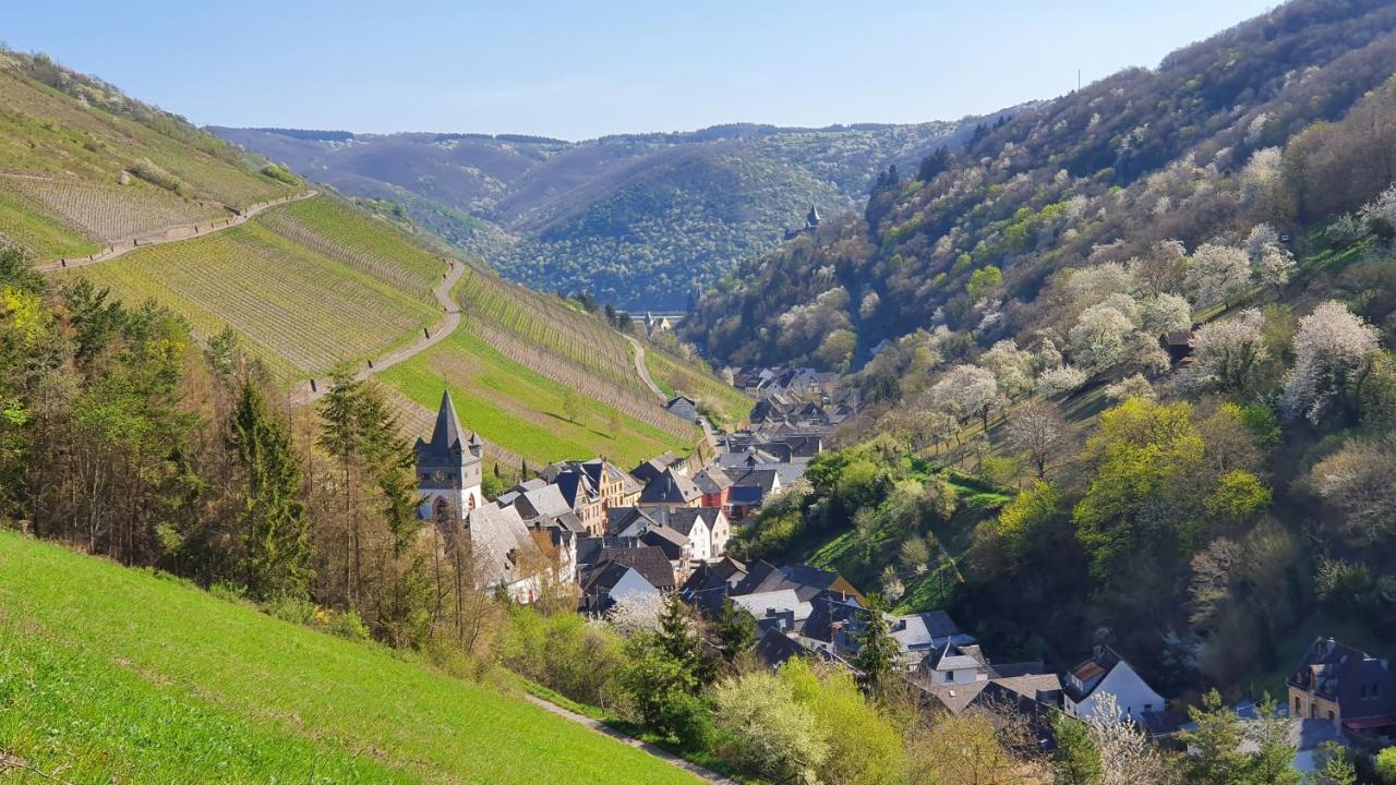Roosartige Ferien - Ferienwohnung Am Weiherturm Bacharach Dış mekan fotoğraf