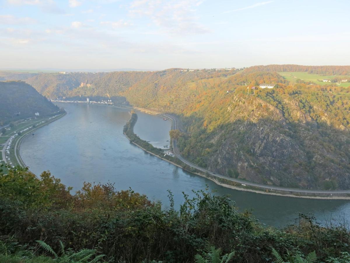 Roosartige Ferien - Ferienwohnung Am Weiherturm Bacharach Dış mekan fotoğraf