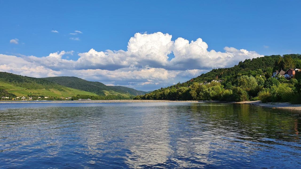 Roosartige Ferien - Ferienwohnung Am Weiherturm Bacharach Dış mekan fotoğraf