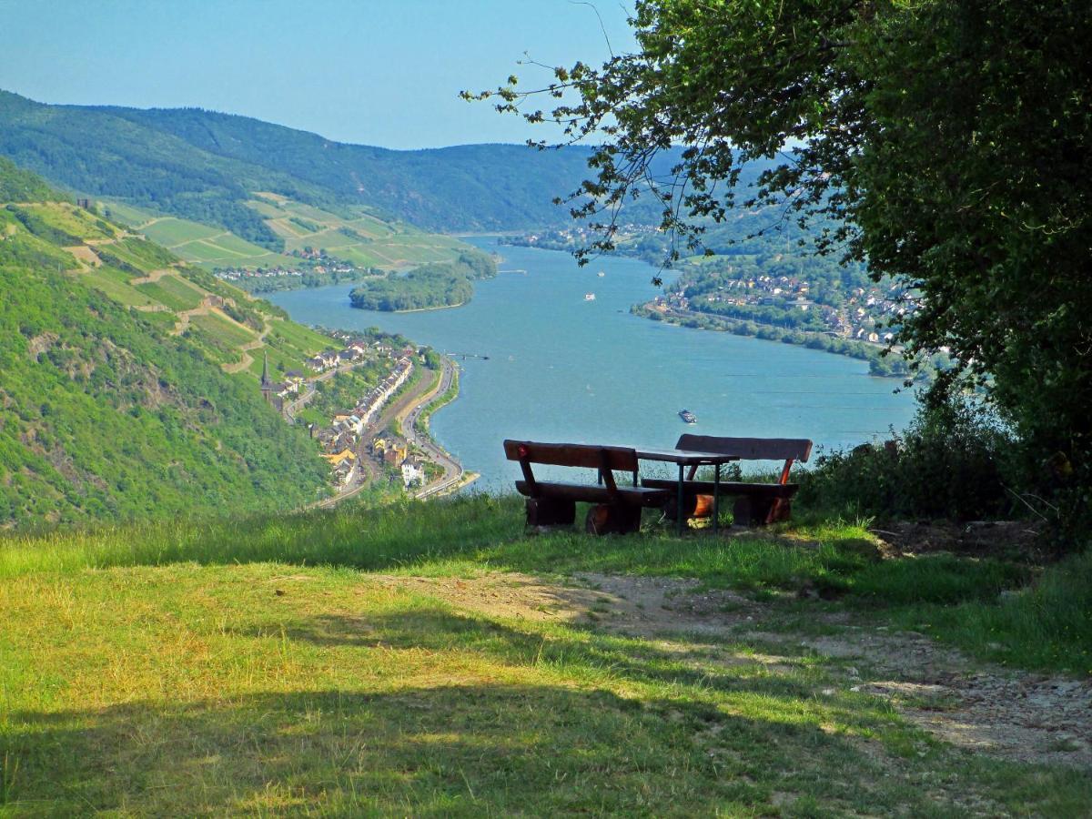 Roosartige Ferien - Ferienwohnung Am Weiherturm Bacharach Dış mekan fotoğraf
