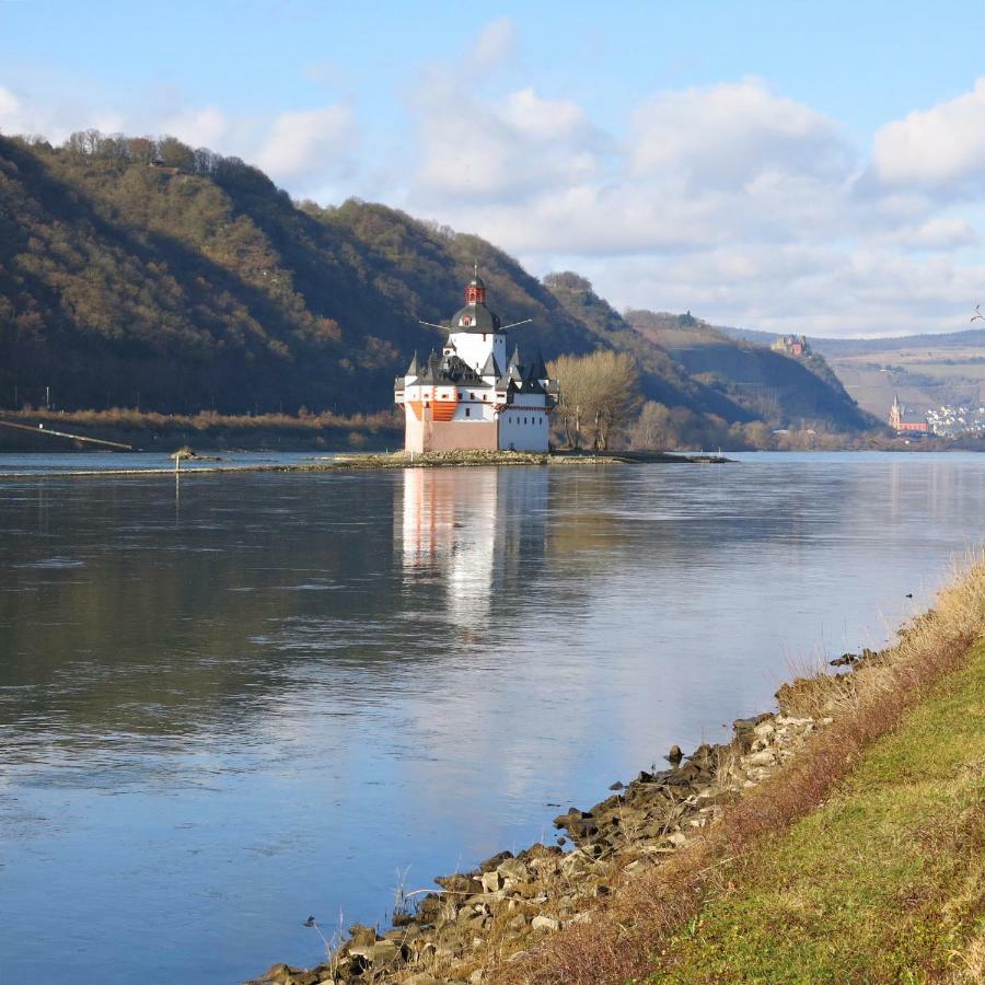 Roosartige Ferien - Ferienwohnung Am Weiherturm Bacharach Dış mekan fotoğraf