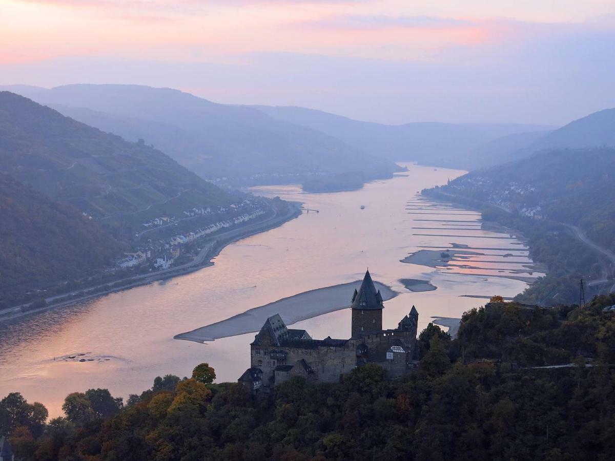 Roosartige Ferien - Ferienwohnung Am Weiherturm Bacharach Dış mekan fotoğraf